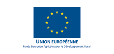 logo du partenaire Union Europeenne